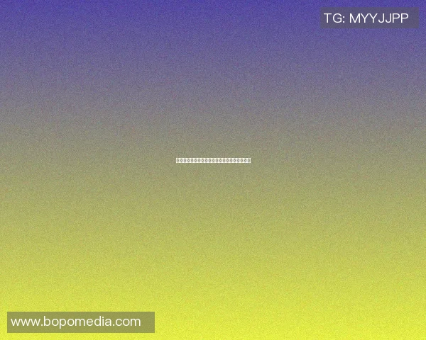 拳王阿里与篮球明星的传奇对决与友谊故事探秘